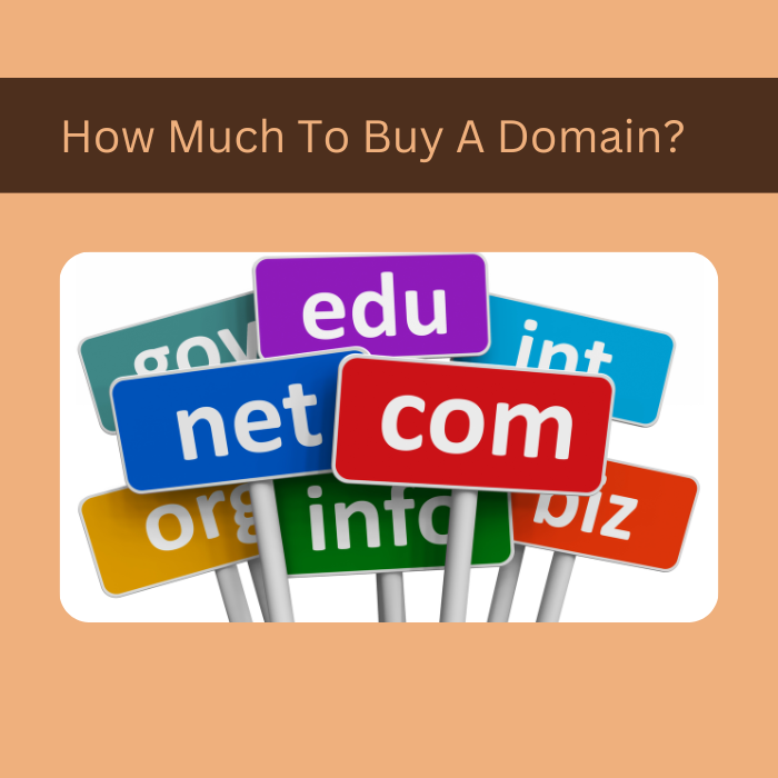 How Much To Buy A Domain?
